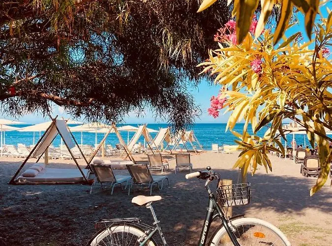 Mysa Дом отдыха