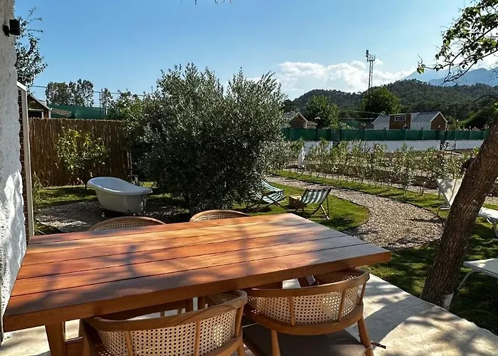 Mysa Дом отдыха