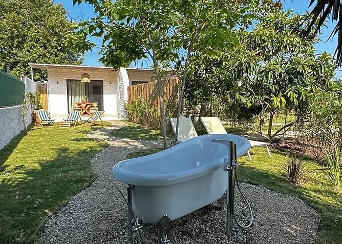 Mysa Дом отдыха *